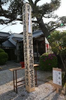 3L3A9331.JPG