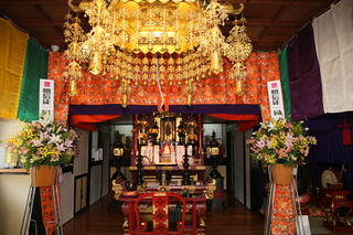 3L3A9564.JPG