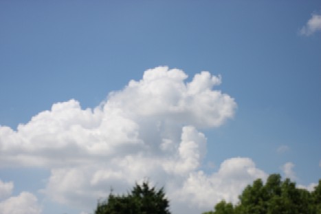 kumo22.jpg