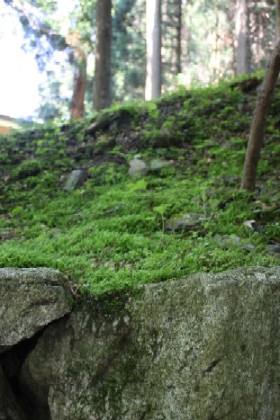 kyoto4.jpg
